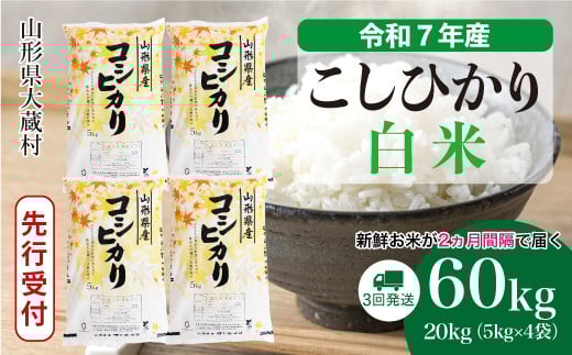 ＜令和7年産米先行受付＞ 大蔵村産 こしひかり 【白米】 定期便 60kg （20kg×２ヶ月間隔で3回お届け）＜配送時期選べます＞ 2161327 - 山形県大蔵村