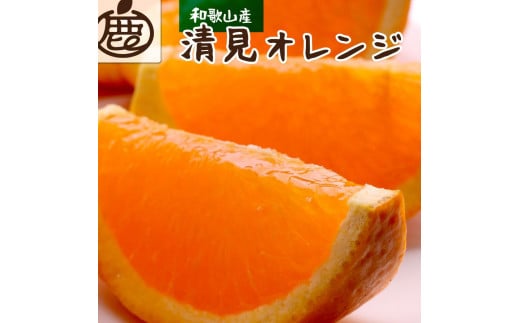 ［先行予約］厳選 清見オレンジ2.5kg+250g（傷み補償分）［光センサー食頃出荷］［樹上完熟きよみオレンジ・清見タンゴール・清美］［IKE146］ 765429 - 和歌山県和歌山市