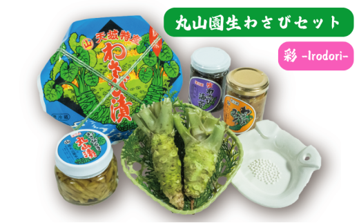 伊豆天城 丸山園 わさびセット 彩 セット 詰め合わせ わさび 山葵 ワサビ 生わさび おつまみ つまみ みそ 味噌 漬け物 漬物[№5227-0521]
