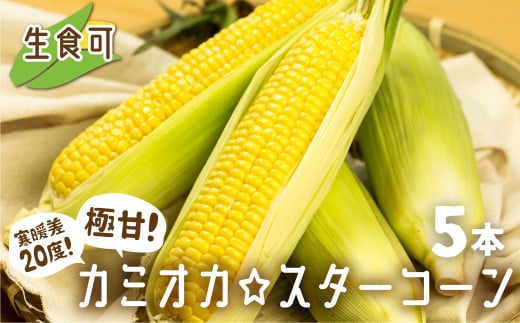 [2025年 先行予約]まるでフルーツ!特別栽培 トウモロコシ 激甘!極旨のスーパースイート系トウモロコシ「カミオカスターコーン」5本 令和7年産 まるで フルーツ 甘い コーン とうもろこし 野菜 果物 夏 BBQ 焼肉 贈答 ギフト 12000円