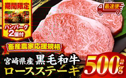 [最速便][期間・数量限定]畜産農家応援!宮崎県産黒毛和牛ロースステーキ250g×2・国産牛ハンバーグ100g×2個_M132-091-B2-2W