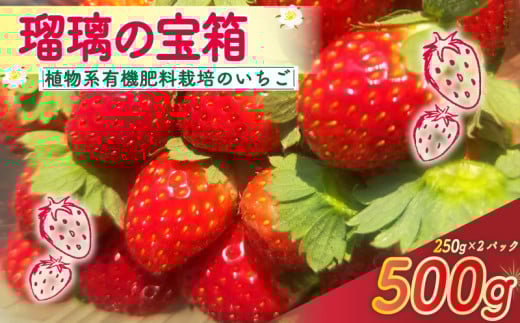 【植物系有機肥料のいちご】 瑠璃の宝箱 いちご 計500g 250g×2パック 《2026年2月～5月発送》 先行受付 有機 有機JAS 植物系有機肥料 イチゴ 苺 オーガニックイチゴ ストロベリー ベリー フルーツ ケーキ ジャム デザート 果物 甘い 国産 ブランド 新鮮 産地 直送 フレッシュ 人気 おすすめ ふるさと納税 京都 八幡 八幡市 かみむら農園  2164275 - 京都府八幡市