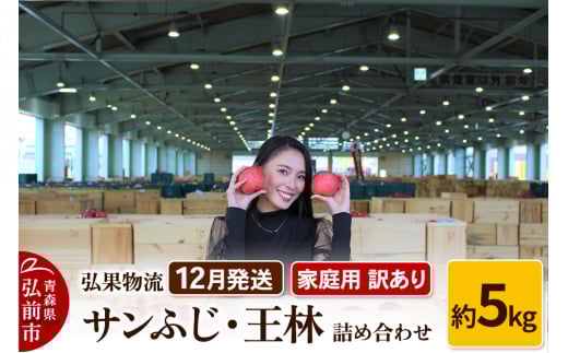 りんご【12月発送】家庭用 訳あり サンふじ・王林 詰め合わせ 約5kg 685132 - 青森県弘前市