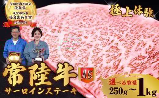 [選べる内容量] 常陸牛 A5ランク サーロインステーキ 250g 500g 1kg | 常陸牛 国産牛 A5ランク サーロインステーキ 和牛 BBQ バーベキュー 牛肉 ステーキ肉 肉ギフト お取り寄せ 焼肉 霜降り 選べる 茨城県 常陸太田市