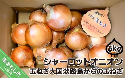 淡路島極熟玉葱6kg　シャーロットオニオン　玉ねぎ大国淡路島からの玉ねぎ 308595 - 兵庫県南あわじ市