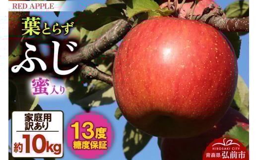 【25年12月発送】りんご 蜜入り 13度糖度保証【訳あり】家庭用 葉とらずふじ 約10kg 1106847 - 青森県弘前市