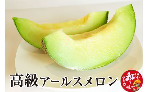 高級アールスメロン 1玉 山形県産 果物 フルーツ 【2025年9月上旬順次発送予定】 215563 - 山形県白鷹町