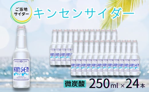 【地サイダー】キンセンサイダー250ml瓶×24本［A0182-0006］