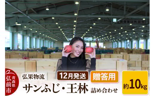 【25年12月発送】りんご 贈答用 サンふじ・王林 詰め合わせ 約10kg 685139 - 青森県弘前市