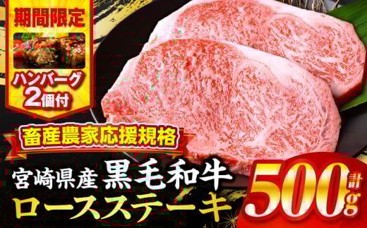 【2025年7月発送】【期間・数量限定】畜産農家応援！宮崎県産黒毛和牛ロースステーキ250g×2・国産牛ハンバーグ100g×2個_M132-091-B2-jul