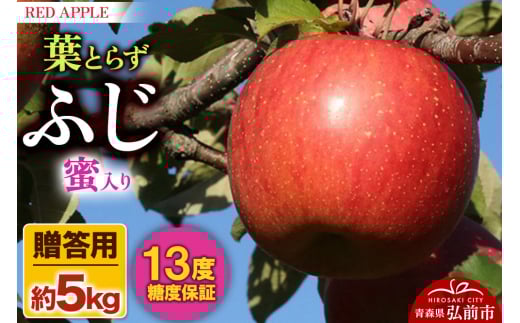 【25年12月発送】りんご 蜜入り 13度糖度保証【贈答用】葉とらずふじ 約5kg 1106844 - 青森県弘前市