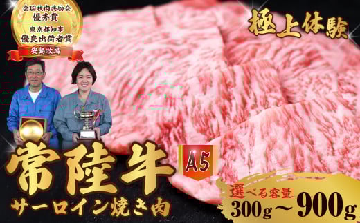 [選べる内容量] 常陸牛 A5ランク サーロイン焼肉 300g 600g 900g | 常陸牛 国産牛 A5ランク サーロイン 和牛 BBQ バーベキュー 牛肉 肉ギフト お取り寄せ 焼肉 焼き肉 霜降り 選べる 茨城県 常陸太田市