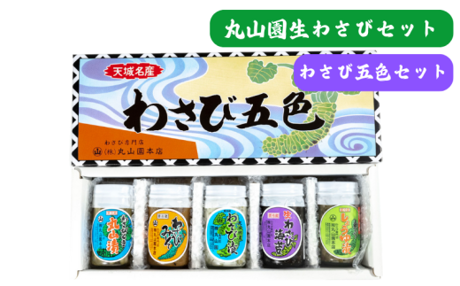 伊豆天城 丸山園 わさび五色セット セット 詰め合わせ わさび 山葵 ワサビ 生わさび おつまみ つまみ みそ 味噌 漬け物 漬物[№5227-0523]