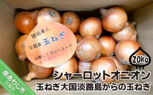 淡路島極熟玉葱20kg　シャーロットオニオン　玉ねぎ大国淡路島からの玉ねぎ 286463 - 兵庫県南あわじ市