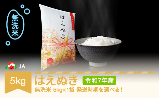 [先行予約]新米 米 5kg はえぬき 無洗米 令和7年産 2025年産 山形県村山市産 ja-hamxa5