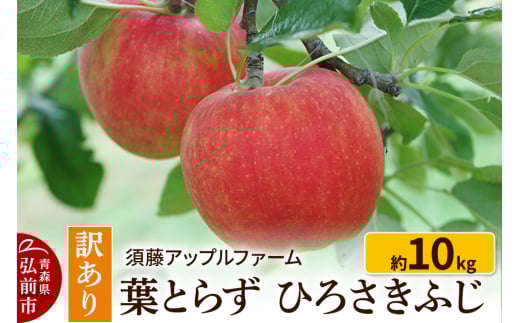 【25年10月～発送】りんご【訳あり】家庭用 ひろさきふじ 約10kg（葉とらず） 893894 - 青森県弘前市