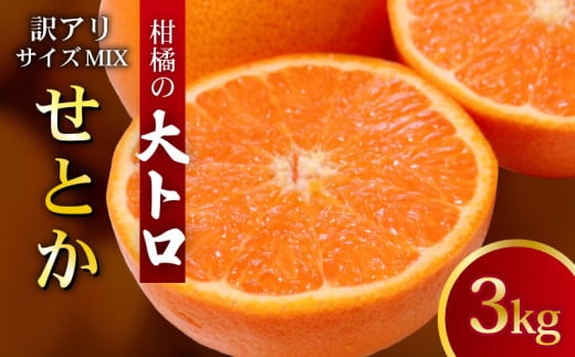 [先行予約受付]訳あり せとか 3kg サイズ MIX フルーツアイランド・マルエム直販の愛南産 せとか 約3kg 柑橘 フルーツ 果物 蜜柑 みかん くだもの mikan かんきつ オレンジ せとか 高級柑橘 スイーツ デザート 果実 果汁 甘い ジューシー おいしい 特産品 国産 農園 直送 産地 直送 愛媛県 愛南町