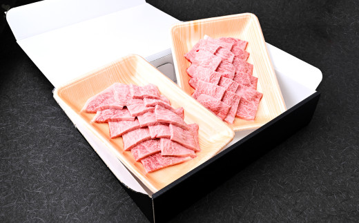 A5ランク特上和牛 サーロイン焼き肉 常陸牛 600g