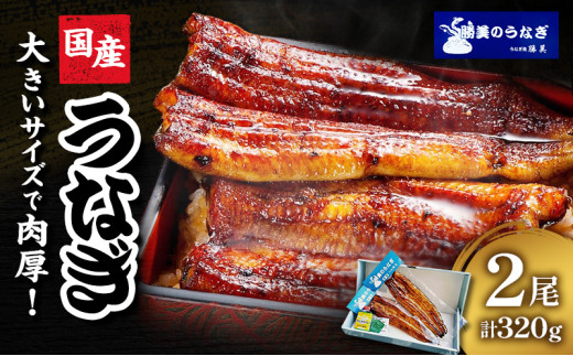 うなぎ 国産 蒲焼2尾セット（160g×2尾 タレ75ml×1・山椒付）勝美 ギフト プレゼント お歳暮 誕生日 内祝 土用の丑の日 丑の日 魚 肴 うな重 うな丼 スタミナ 一品料理 おかず つまみ 魚料理 惣菜 日本食 和食 真空パック おもてなし  [№5786-4780]
