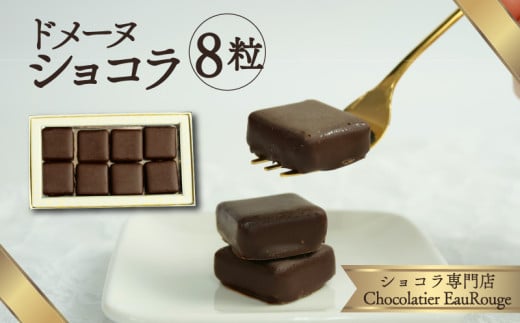 ドメーヌ ショコラ 8粒入り チョコレート カカオ 豆 冷凍 母の日 贈答 ギフト プレゼント バレンタイン チョコ クリスマス 静岡県 長泉町