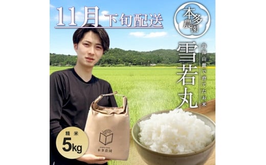 SB0709　11月下旬配送／令和7年産【精米】雪若丸　5kg 農家直送 HO