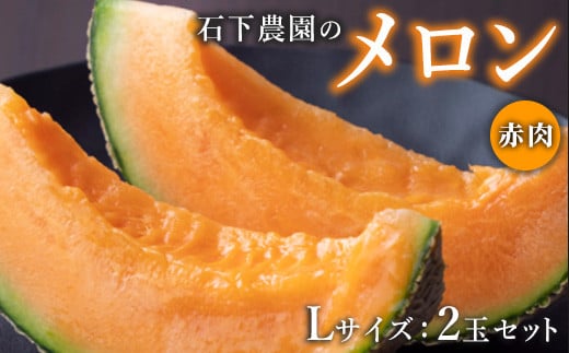 【先行予約】石下農園のメロン 赤肉 Lサイズ 2玉 ｜ 果物 くだもの フルーツ メロン 国産 クインシーメロン 赤肉 赤肉メロン 旬 期間限定 季節限定 夏季限定 産地直送 栃木県 芳賀町※2025年8月上旬～8月中旬頃に順次発送予定※離島への配送不可