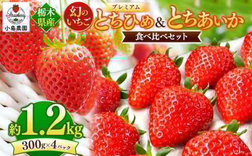 とちひめ とちあいか 食べ比べ プレミアム 幻のいちご｜1200g 希少 柔らかい 果肉 大粒 ジューシー 果汁 いちご 苺 特産品 ストロベリー strawberry スイーツ お取り寄せ ご褒美 贈答用 プレゼント ご褒美 栃木県 真岡市 2164301 - 栃木県真岡市