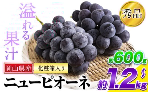 岡山県産 ニューピオーネ 約1.2kg or 約600g 2房 1房 葡萄 果物 秀品 スイーツ フルーツ デザート 秋旬 岡山県矢掛町《9月中旬～11月上旬頃に出荷予定(土日祝除く)》