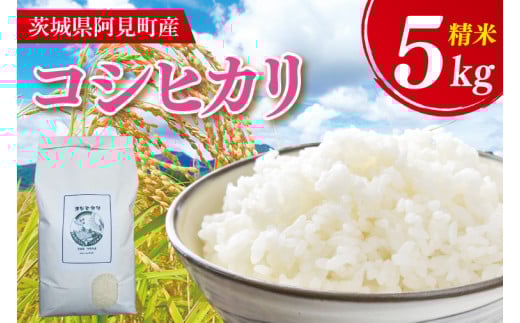 【先行予約】【10月中旬より発送】 コシヒカリ5kg【お米 白米 コシヒカリ こしひかり 精米 阿見町 茨城県】(71-02)