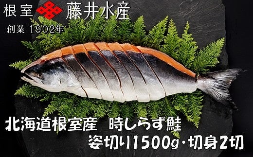 F-42020 【北海道根室産】時しらず鮭切身1.5kg×1P・1切×2P 2162026 - 北海道根室市