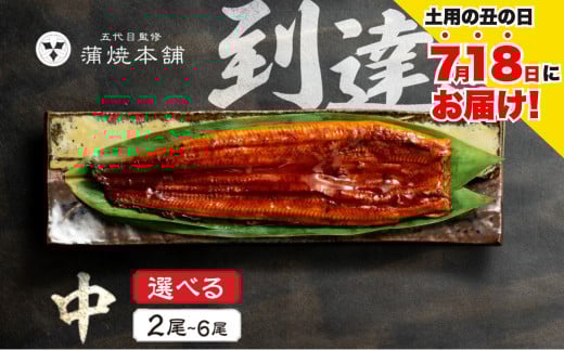 ≪土用の丑の日対応≫ ふっくら肉厚!国産うなぎ 蒲焼 中 2尾〜10尾 選べる 老舗 国産うなぎ セット 詰め合わせ 蒲焼 ウナギ うなぎ unagi 鰻 2尾 4尾 6尾 8尾 10尾