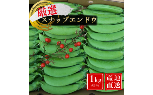 ＼ 先行予約／ 厳選 こだわり の スナップエンドウ 1kg 相当 種子島産 産地直送 旬　NFN551 【300pt】 種子島 産 産地直送 旬 新鮮 箱一杯 みずみずしい 食感 サラダ スープ 炒め物 幅広い料理