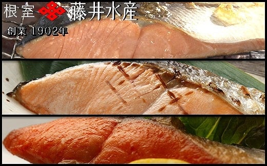 G-42015 焼き魚切身食べ比べセット 2162010 - 北海道根室市