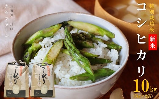 【令和7年産・精米】大沼ファームの特別栽培米コシヒカリ10kg※10月中旬頃から順次配送予定 2014812 - 山形県三川町