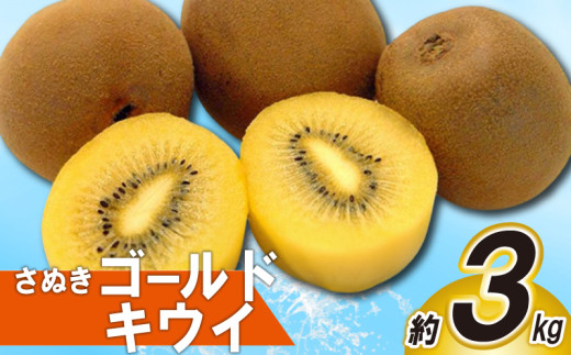 先行予約 キウイ 約3kg キウイフルーツ ゴールドキウイ さぬきゴールドキウイ 果物 果実 フルーツ 旬 デザート 選べる 容量 10月下旬～12月中旬 配送 家庭用 贈答用 ギフト プレゼント 香川県 丸亀市 786676 - 香川県丸亀市