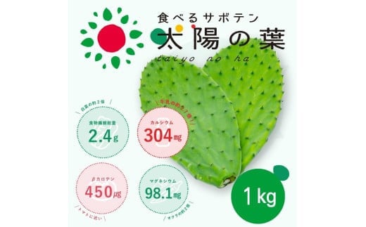 食べるサボテン 太陽の葉 フレッシュリーフ食用サボテン(1kg)