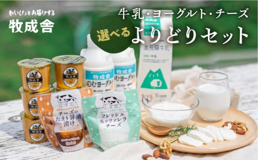 ＜牧成舎＞乳製品福袋 牛乳・ヨーグルト・チーズ　飛騨産生乳で作るこだわりのセット 乳飲料 乳製品 ヨーグルト チーズ モッツァレラチーズ 飲むヨーグルト 牧成舎 アイス ピザ プリン スイーツ 惣菜 飛騨市 [B0096_stch] 2162920 - 岐阜県飛騨市
