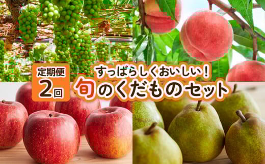【定期便2回】すっばらしくおいしい！旬のくだものセット FY25-254