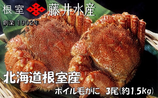 D-42070 【北海道根室産】ボイル毛がに3尾(計1.5kg) 2162003 - 北海道根室市