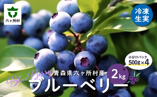 《先行予約 2026年8月中旬~順次出荷》 青森県 六ヶ所村産 ブルーベリー 冷凍生実 2kg 1280150 - 青森県六ヶ所村