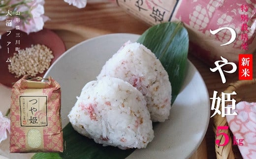 【令和7年産・精米】大沼ファームの特別栽培米つや姫5kg　※10月中旬頃から順次配送　 2164679 - 山形県三川町