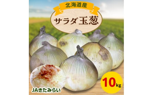 JAきたみらい　サラダ玉葱　10kg【1292813】