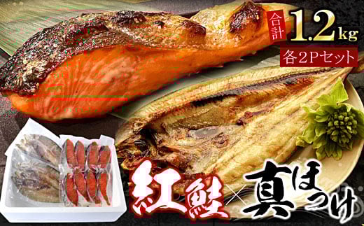G-07008 紅鮭切身8切・真ほっけ開き干し2枚セット(各約600g) 2162054 - 北海道根室市