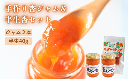 あんず ジャム 2本組[手作り杏じゃむ]× 干しあんず(半生)40g 1袋セット | 信州あんず 杏子 アンズ アプリコット ジャム ドライフルーツ 千曲市 長野県産 信州