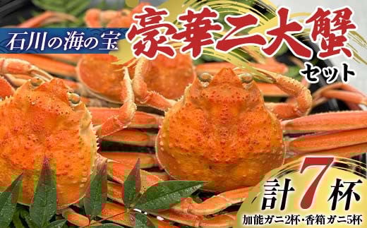 【先行予約】【冷蔵発送】<石川の海の宝>豪華二大蟹セット（加能ガニ2杯・香箱ガニ5杯） 2025年11月上旬以降発送 蟹 カニ かに ずわい 石川 加賀 F6P-2485 クラウドファンディング 実施中 GCF