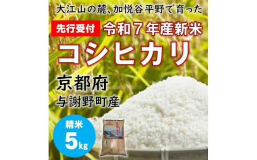 ＜先行受付＞ 令和7年新米　大江山の麓、京都府与謝野町で育った丹後産コシヒカリ　精米5kg　農家直送【1632450】
