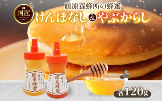 藤原国産蜂蜜 けんぽなし やぶからし 計240g はちみつ ヤブカラシ 玄圃梨 国産 単花蜜 朝しぼり 完熟 ハチミツ パン 菓子 トースト ホットケーキ ヨーグルト 調味料 隠し味 お取り寄せ ポリ容器 常温 常備 送料無料 藤原養蜂場 岩手県 盛岡市