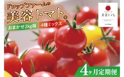 【4ヶ月定期便】【11月より順次発送】ドロップファームの美容トマトおまかせ2kg箱(４種ミックス)【とまと フルーツトマト 野菜ソムリエ 栄養士 アイコ イエローアイコ 小鈴 フルティカ 野菜 フレッシュ 水戸市 茨城県】（CK-19） 2144674 - 茨城県水戸市