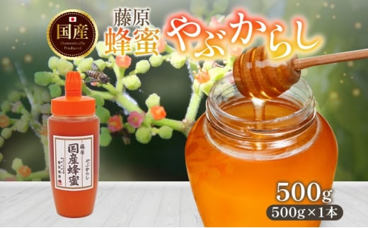 藤原国産蜂蜜 やぶからし 500g はちみつ ヤブカラシ 国産 単花蜜 朝しぼり 完熟 ハチミツ パン 菓子 トースト ホットケーキ ヨーグルト 調味料 隠し味 お取り寄せ ポリ容器 常温 常備 送料無料 藤原養蜂場 岩手県 盛岡市