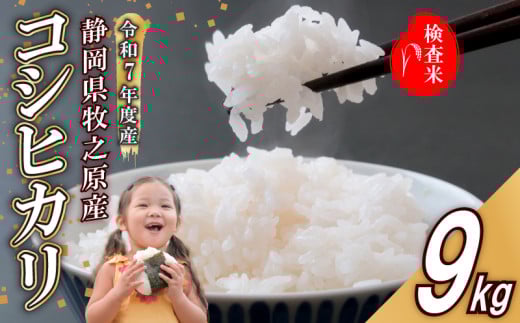【事前受付】令和7年度産 新米 コシヒカリ 米 9kg  精米 白米 国産 おいしい お米 こめ 静岡県 牧之原市  日用品 日常  9月~10月発送 ご飯 ごはん ふっくら もちもち 炭水化物  主食 家庭用 贈答 備蓄米